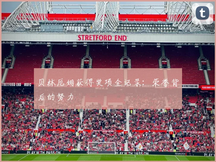 贝林厄姆获得奖项全记录:荣誉背后的努力