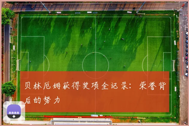 贝林厄姆获得奖项全记录：荣誉背后的努力
